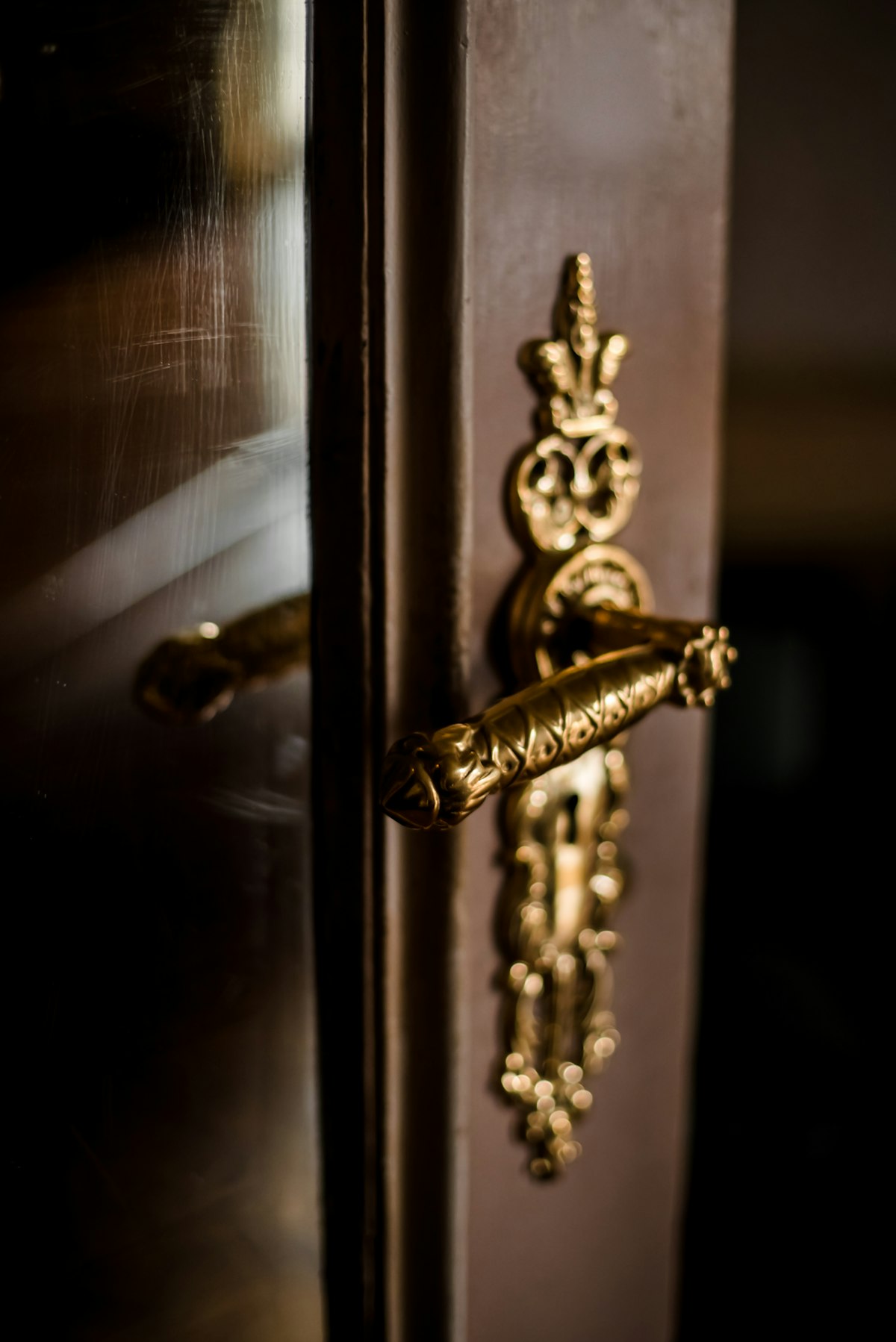 Ornate brass handle on a dark wooden door